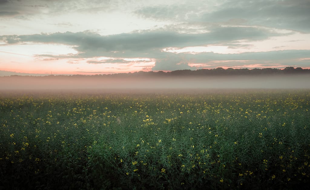 Foto: Michael Böttcher-Entenmann