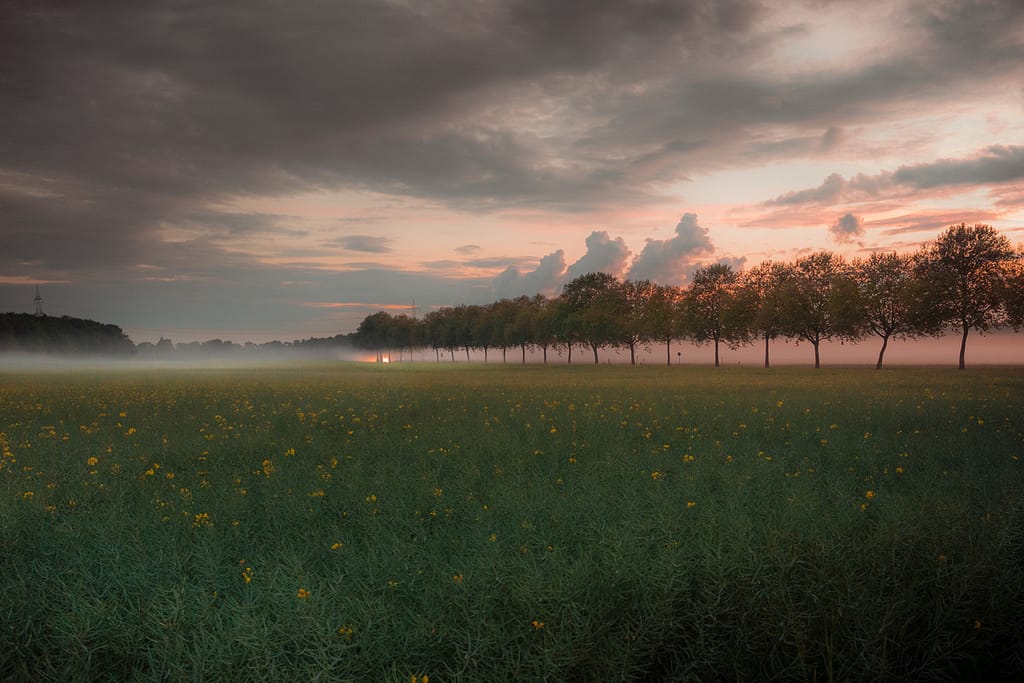 Foto: Michael Böttcher-Entenmann
