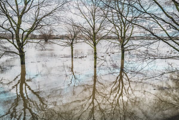 Foto: Michael Böttcher-Entenmann